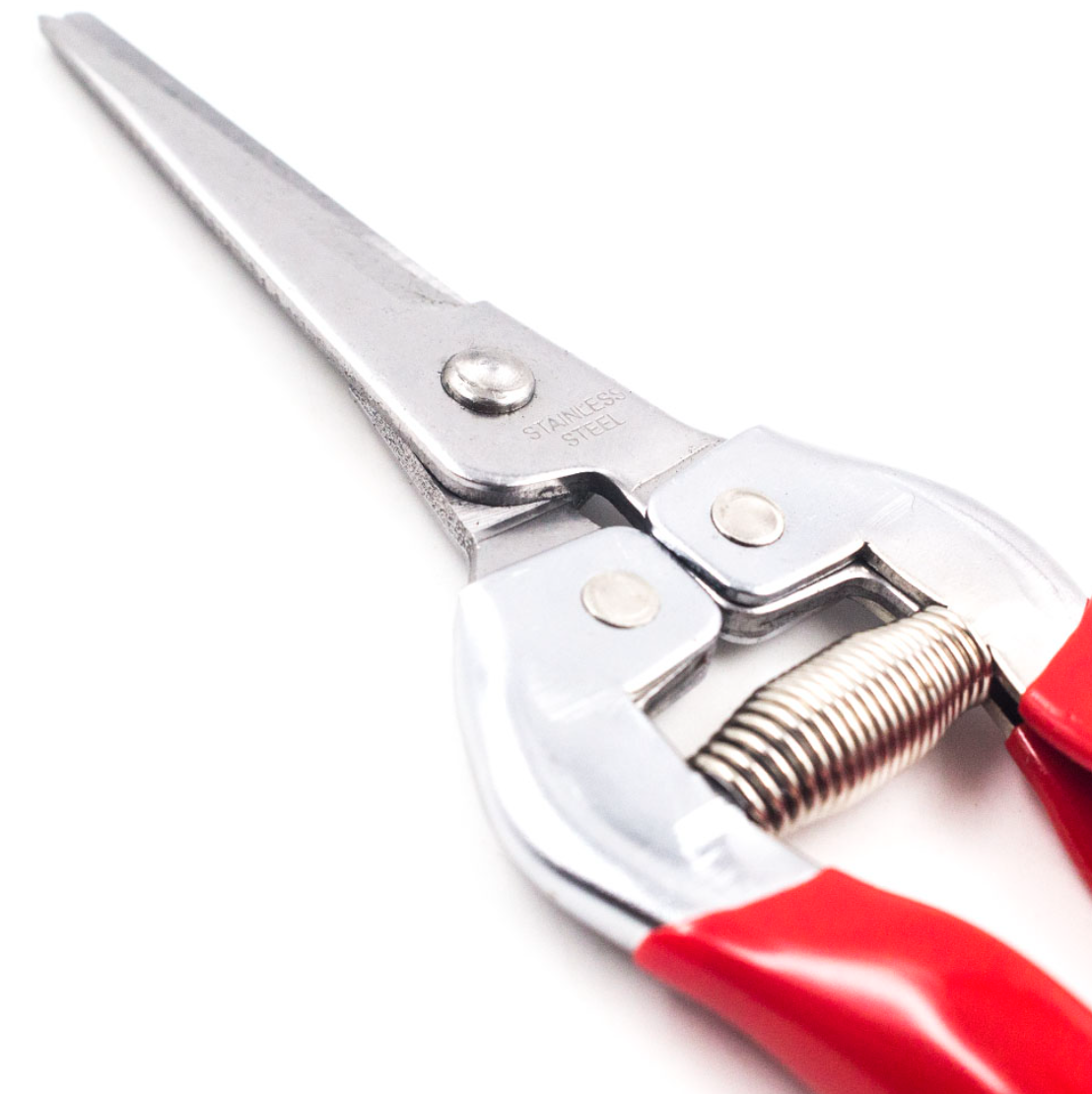 Screenshot 2026-07-09 124040